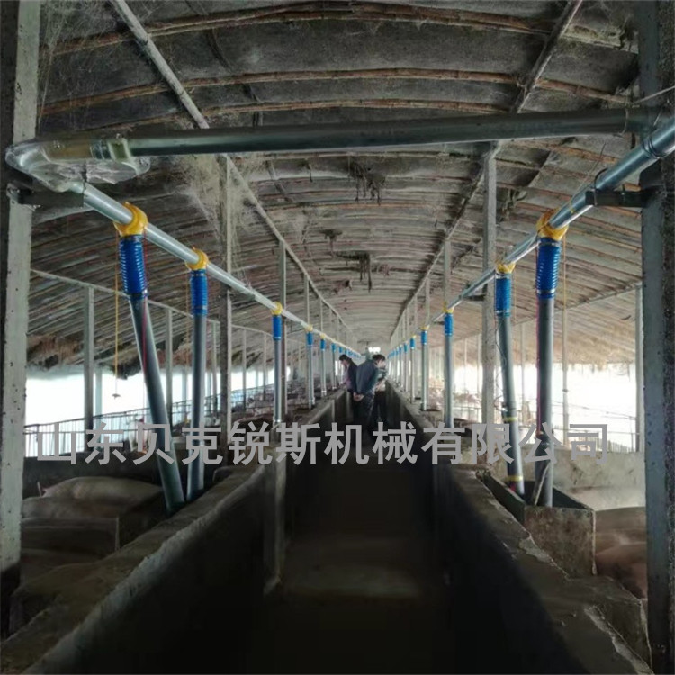 养猪场自动喂料机自动化养殖设备加料线料塔料线