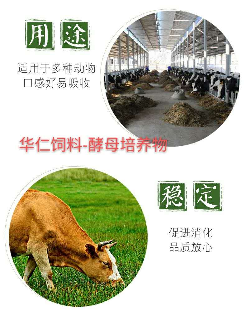 圖片_20.jpg