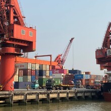 上海到广东广州的海运集装箱船务物流公司