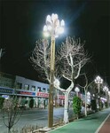唐山8米组合灯-广场道路6米8米LED玉兰灯-新乐户外灯具厂