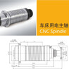 河北保定供应钻床铣床电主轴磨削用机械主轴单元