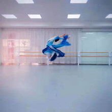 舞蹈地胶瑜伽垫木纹地板胶街舞地胶板拉丁舞舞蹈教室塑胶PVC地板