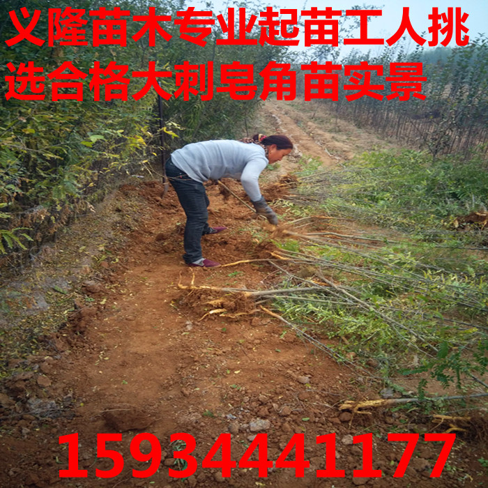 點擊打開原圖 123