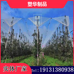 辽宁热门防雹网质量可靠,果园防雹网图片2