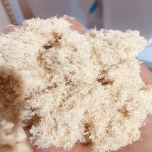铭域造纸木粉用途造香80目木粉的作用