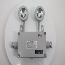 TDJ51集中电源集中控制型消防应急照明灯具集中电源集中控制型消防应急照明灯具