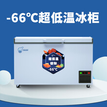 深冷冰柜零下-66℃度冰柜