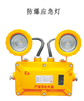 湖北防爆應(yīng)急標(biāo)志燈雙頭10W