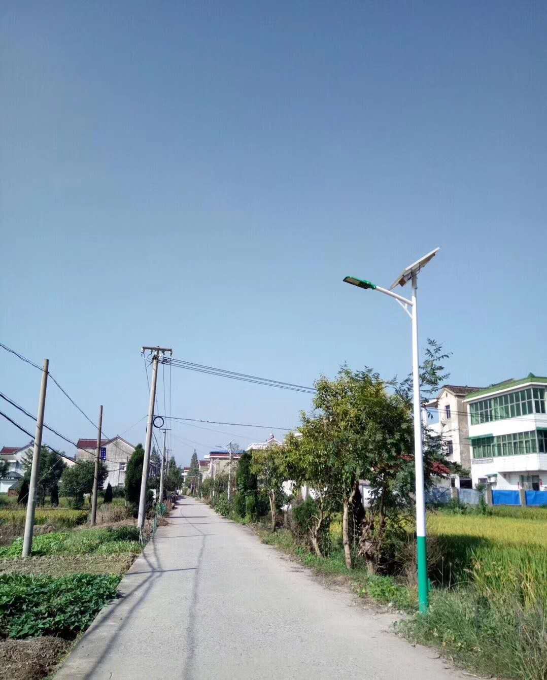 圖片_22.jpg