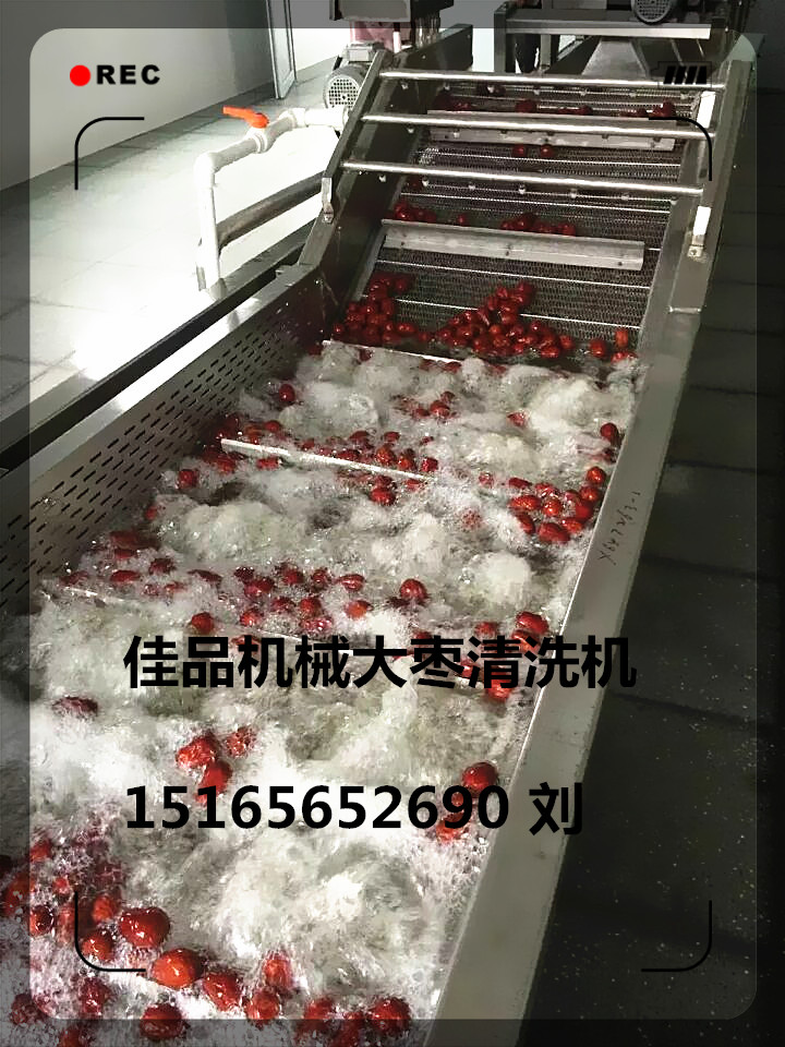 大枣清洗设备佳品.jpg
