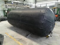 珠海直径1.2米堵水气囊价格珠海管道封堵气囊-珠海厂家图片2