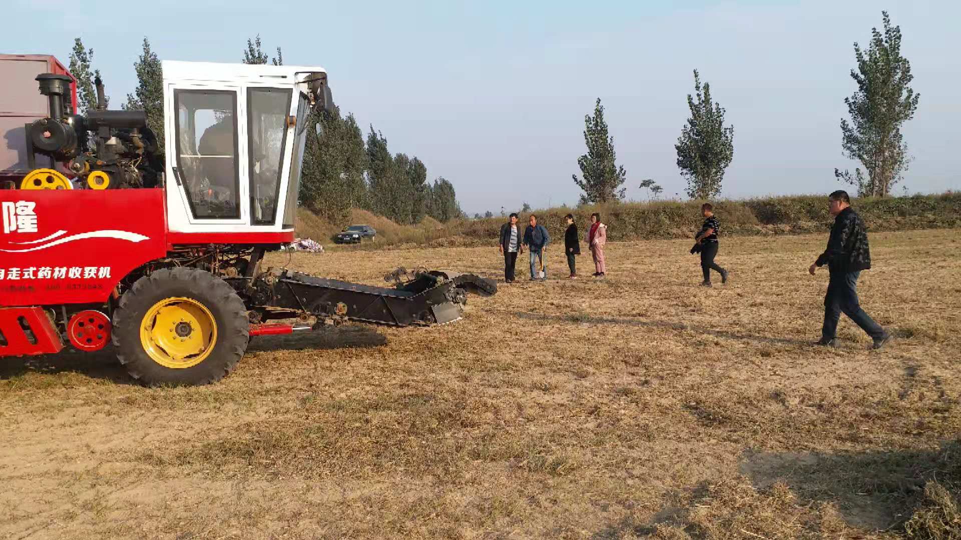 河南地隆油莎豆收获机油莎豆(又称虎坚果)收获机一遍干净无杂草