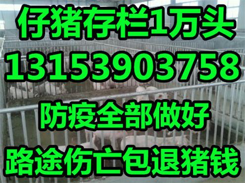 2008年广西gdp_上海全年GDP首次突破3万亿元(2)