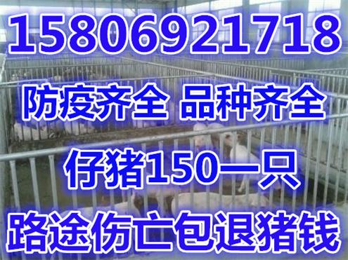 伊春市gdp_黑龙江伊春市林区不伐木发展没停步