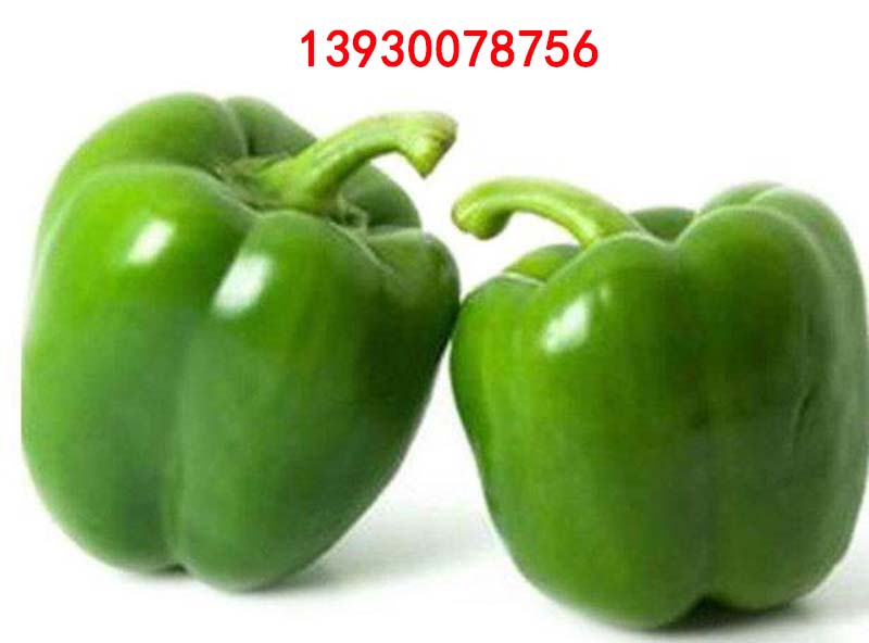 1543368715839156.jpg