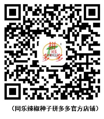 同樂(lè)拼多多二維碼.jpg
