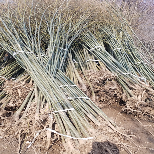 20190223_123332.jpg