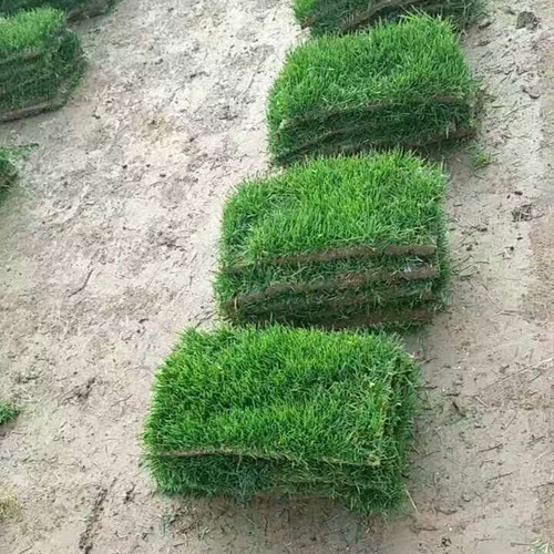 圖片203.jpg