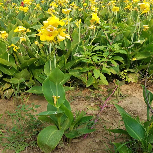 20190712_154033.jpg