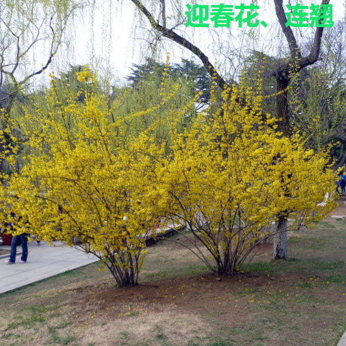 圖片22.jpg