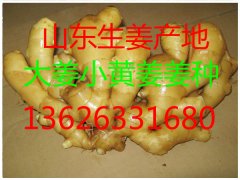 1541141H4-5442.jpg