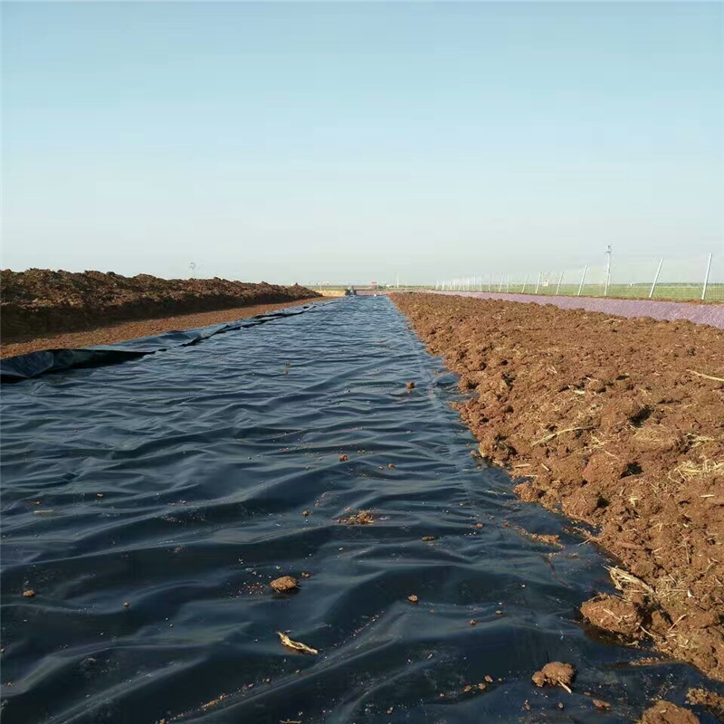 阻根土工膜在宁夏河道边坡的规格与型号