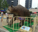 租赁梦幻雨屋水上乐园鲸鱼岛科技vr吊桥道具