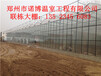 郑州玻璃温室连动大棚厂家特供高品质温室大棚