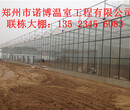 郑州玻璃温室连动大棚厂家特供高品质温室大棚图片