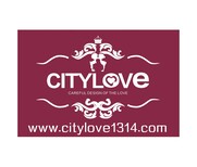 上海川沙松江区求婚品质CITYLOVE求婚策划公司图片0