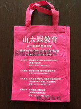 山東手提袋批發(fā)環(huán)保袋