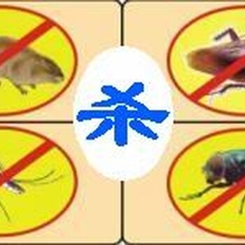 家庭卫生消毒灭菌，房间杀螨虫，灭跳蚤，厨房灭蟑螂灭蚂蚁
