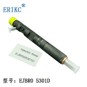 ERIKC电控共轨喷油器总成EJBR05301D进口德尔福喷油器EJBR05301D