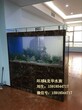 广州清洗鱼缸，广州定做鱼缸，广州维修鱼缸，广州批发鱼缸图片