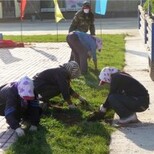 辽阳鸿博草坪基地图片5