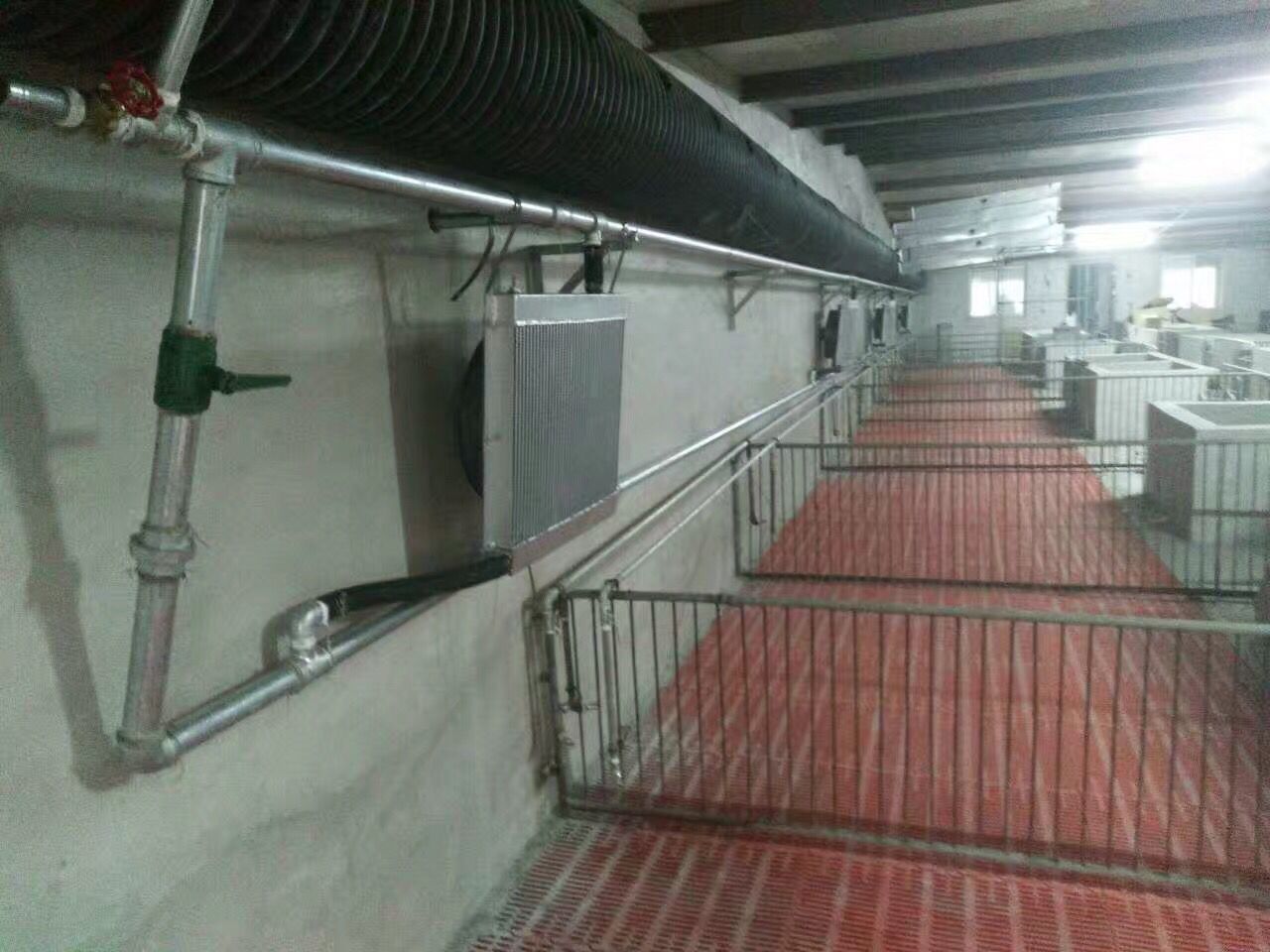新型猪舍