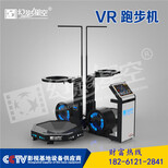 vr海洋馆vr跑步机9dvr设备厂家vr蛋椅VR射击馆VR赛车vr9D影院vr设备报价图片1