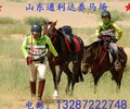 蒙古馬出售國馬匹養殖交易影視用馬騎乘馬多少錢一匹