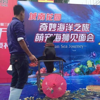 全國展覽海洋生物動物雜技展覽租售