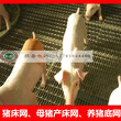 猪床网&广西猪床网&猪床网厂家图片