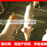 猪床网规格&广西猪床网规格&猪床网厂家图片0