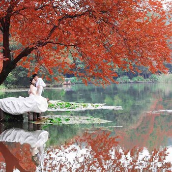 杭州圣摄影拍外景婚纱照报价西湖婚纱摄影春天外景推荐
