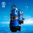 兰江潜水排污泵图片