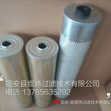 SH-006纤维素滤芯图片