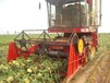 小麦收割机改装收油葵，玉米收获机加装剥皮机