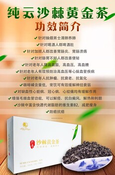 純云美人沙棘黃金茶火爆招商
