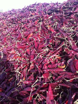 博尔塔拉干红辣椒厂家回收