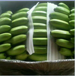香蕉全年供货图片