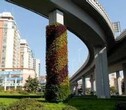 湖南草字头生态高架桥绿化图片