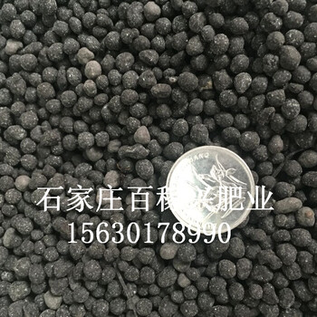 有機(jī)肥多少錢一噸有機(jī)肥價格顆粒生物有機(jī)肥
